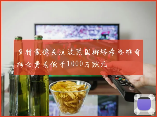 多特蒙德关注波黑国脚塔希洛维奇转会费或低于1000万欧元